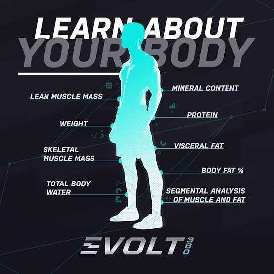 4 Pack Evolt360 Body Scan